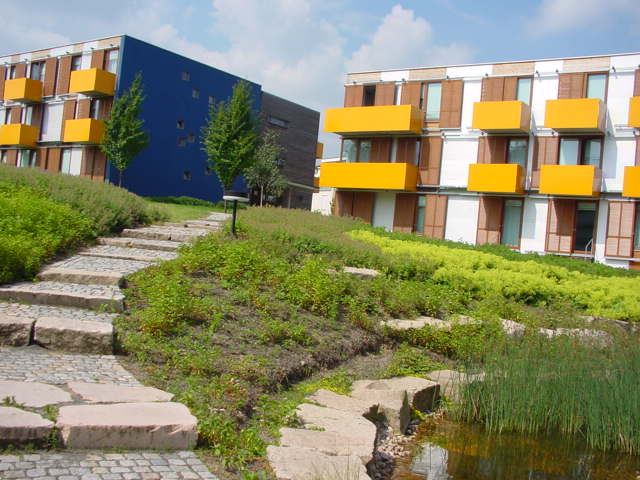 DSC00133.JPG