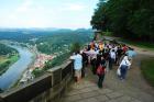 thumbs/DSC_0223.JPG.jpg